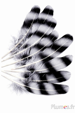 Gans - 15-21 cm - grau-schwarz